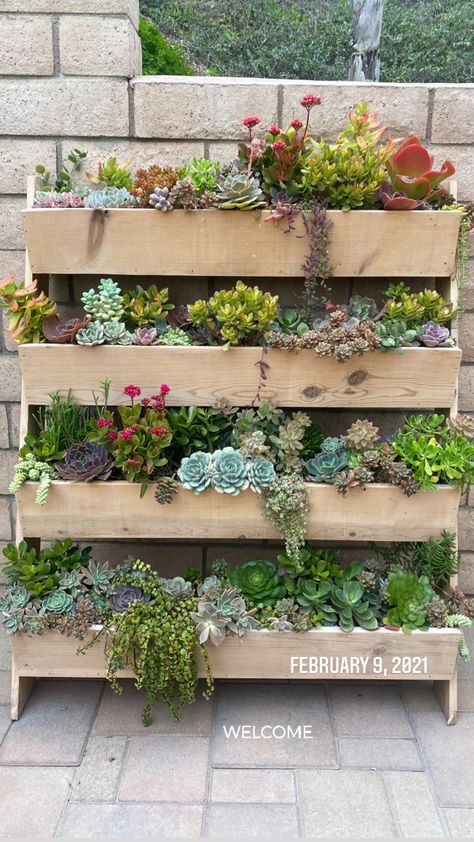 Succulent Garden Design, Succulent Garden Diy, Garden Decor Projects, Succulent Wall, Succulent Gardening, Pallet Garden, Front Yard Garden, Rustic Garden Decor, Wall Planter