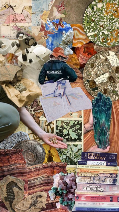 #aesthetic #wallpaper #background #geology #collage #geologist #rocks #rock #science #stem #stemgirl #fossil #fossils #archeology #paleontology Environmental Science Major, Rock Science, What To Study, Phd Life, Science Stem, Wildlife Biologist, Rocks And Fossils, Geology Rocks, Remote Sensing