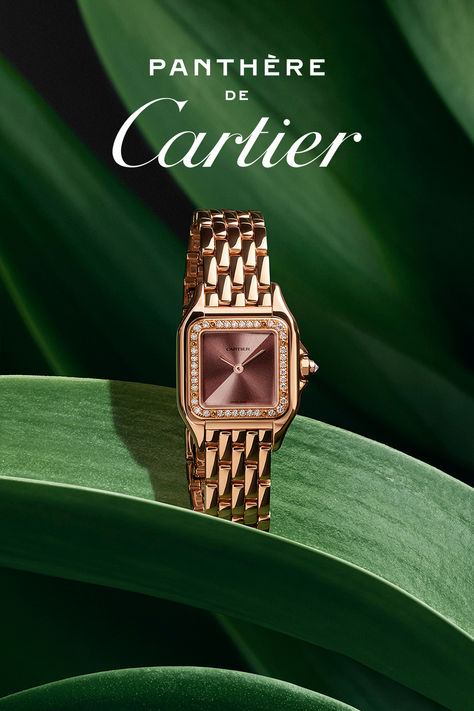 Designed for the fearless, the Panthère de Cartier watch doubles as a piece of jewelry. Cute Silver Jewelry, Jewelry Design Silver, David Gallagher, Brand Stories, Jewelry Cartier, Running Gift, Dolls Shoes, Silver Jewelry Wedding, Patek Philippe Watches