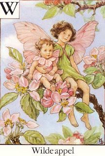 SENSORY LEVEL: Cicely M.Barker - part II Flower Fairies Cicely Mary Barker, Cicely Mary Barker, Flower Fairies, Apple Blossom, Butterflies, Alphabet, Blossom, Flowers, Pink