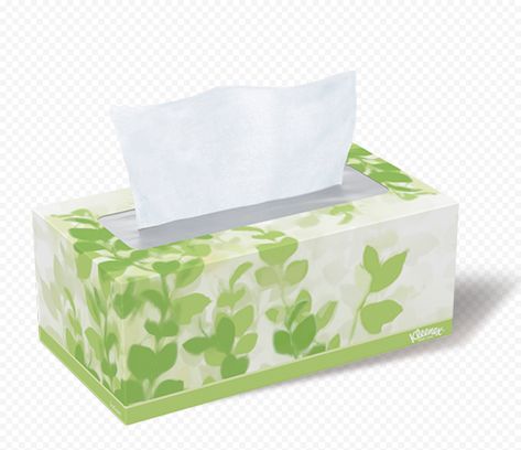 Tissue box crafts