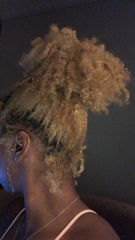 Bleached Hair On Black Woman, Honey Blonde Hair Black Roots, Highlights On Natural Hair Black Women Dark Skin, Blonde 4b Natural Hair, Dyed Natural Hair Honey Blonde, Golden Blonde On Black Women, Bleach Afro Hair, Dyed Blonde Hair Black Women, Bleached Hair Black Woman