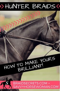 Hunter Braids: How to Make Yours Brilliant - Horse Braiding Tips Equestrian Hacks, Hunter Braids, Braiding Tips, Horse Mane Braids, Horse Hair Braiding, Horse Nutrition, Horse Braiding, Horse Riding Outfit, Horse Care Tips