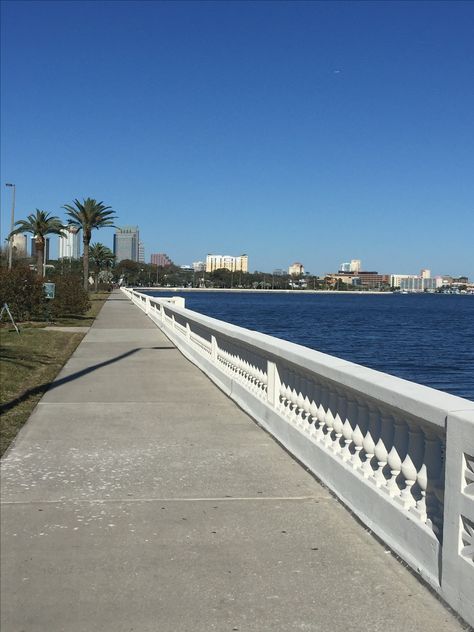 Tampa Aesthetic, Tampa Downtown, Vintage Tampa Florida, Cousins Beach, Bayshore Blvd Tampa, Florida Baby, Usa Summer, Southern Boutique, The Florida Aquarium Tampa