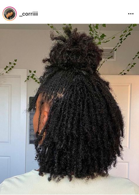 Dreadlocks Hair Care, Micro Locs, Beautiful Dreadlocks, Short Locs Hairstyles, Natural Hair Styles Easy, Dreadlock Hairstyles, Natural Hair Inspiration, Natural Hair Braids, African Braids Hairstyles