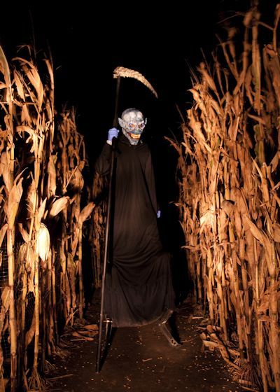 Haunted Trail Ideas, Haunted Corn Maze, Gothic Background, Haunted Maze, Cider House, October 4th, Halloween Centerpiece, Corn Maze, Haunted Houses