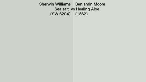 Sherwin Williams Sea salt (SW 6204) vs Benjamin Moore Healing Aloe (1562) side by side Benjamin Moore Beach Glass Vs Sherwin Williams Sea Salt, Sherwin Williams Healing Aloe, Bm Sea Glass Paint, Bm Healing Aloe, Palladian Blue Vs Sea Salt, Benjamin Moore Healing Aloe Bathroom, Sea Salt Vs Rainwashed, Healing Aloe Benjamin Moore, Benjamin Moore Sea Salt
