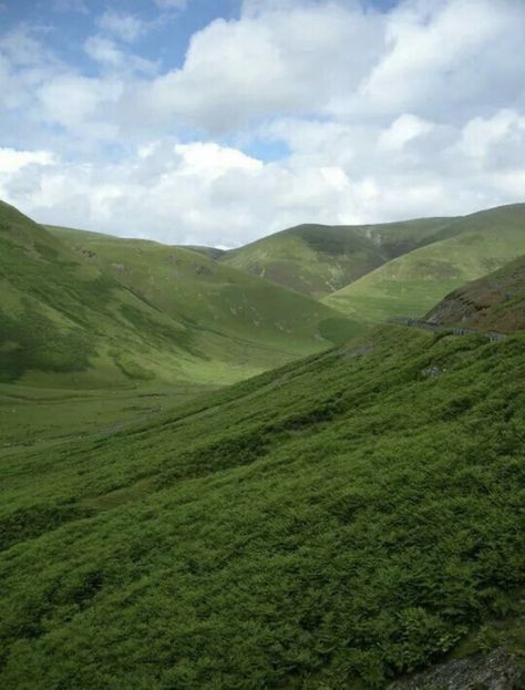 Rolling Hills Landscape, Hills Landscape, Nature Pics, Green Hills, Travel Nature, Rolling Hills, Nature Aesthetic, Green Grass, Pretty Places