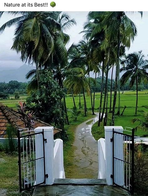 Kerala Village Photos, Kerala Village Photography, Indian Village Aesthetic, South Indian Village, Kerala Village, Kerala Aesthetic, Village Vibes, Ancient Background, Kerala Traditional House