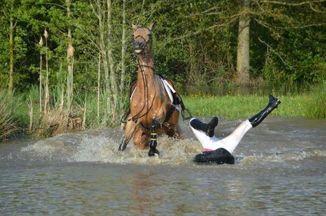 Funny Horse Pictures, Show Jumping Horses, Equestrian Aesthetic, Cowboy Horse, Horse And Rider, Horse Aesthetic, Dressage Horses, The Hardest Part, Funny Horse