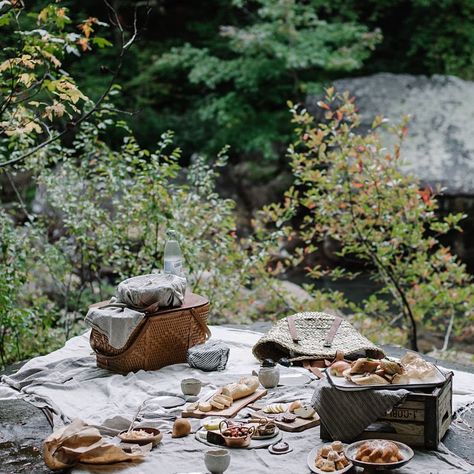 New on the blog! An Appalachian road trip with @thisisgmc featuring a recipe for Quinoa, Feta, and Roasted Fennel & Parsnip Salad topped with a raw honey lemon vinaigrette & 5 minute eggs. Perfect fall picnic fare. #WhatsInAYukon #sponsor Local Milk, Roasted Fennel, Picnic Inspiration, Perfect Picnic, Picnic Time, Outdoor Picnic, A Picnic, Parsnips, The Grass