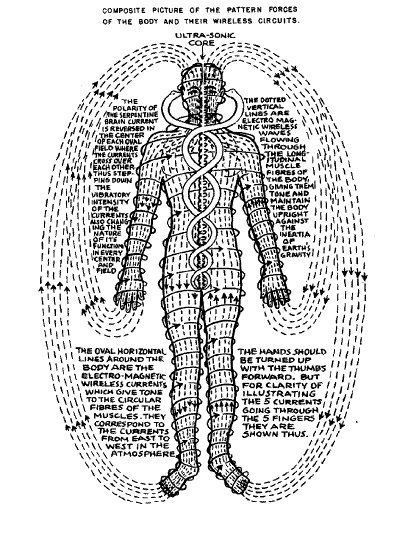 Pranic Body... Polarity Therapy, Sacred Science, Energetic Body, Esoteric Art, Spirit Science, The Nervous System, Body Energy, Geometry Art, Les Chakras