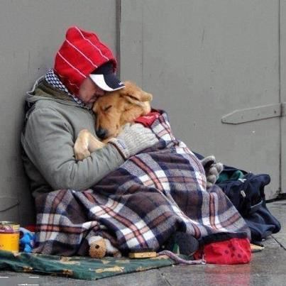 22 Extraordinary Pictures To Restore Your Faith In Humanity Love My Dog, Faith In Humanity, Mans Best Friend, 귀여운 동물, Animals Friends, Fun To Be One, I Love Dogs, Dog Love, Puppy Love