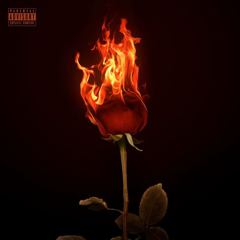 Inspired by the song “Flowers” from the album “See You Next Wednesday”. #music #rap #flowers #fire #rose #musicart #photoshop #adobe #graphicdesigninspiration #inspiration #ideas Fire Rose Wallpaper, Burning Rose Wallpaper, Rdx Editor, Flower On Fire, Rose Day Background For Editing, Fire Album Cover, Rose On Fire Wallpaper, Wednesday Music, Fire Rose Png