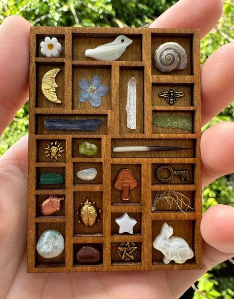 Green Crafts, Curiosity Cabinet, Enchanted Wood, Green Craft, Halloween Miniatures, Printers Tray, All The Small Things, Found Object Art, Snail Shell