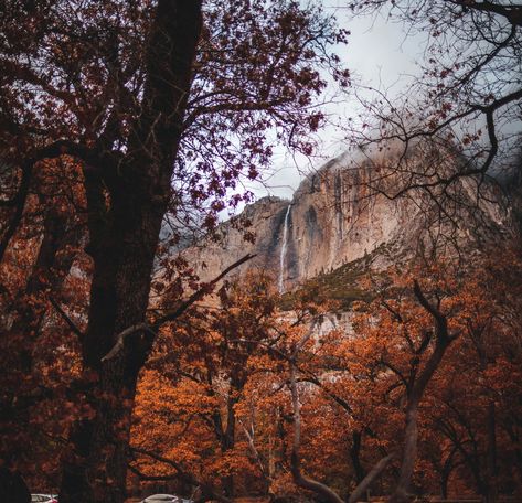 Explore Yosemite's vast beauty hassle-free! Our expert guides and drivers at Discover Yosemite ensure your day trip is seamless and memorable. Trust us to navigate the park's wonders, so you can relax and enjoy every moment. 🌲✨ #YosemiteExploration #DiscoverWithEase #ExpertGuidesFor more information or to book your tour with a live person, call or text 559-642-4400!  **No tours January 1-February 29**
🗺️✨ #YosemiteExploration #GuidedTours #NatureRevealed 1 February, Enjoy Every Moment, January 1, Tour Guide, Day Trip, How To Memorize Things, Wonder, In This Moment, Beauty