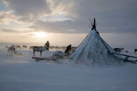 Siberia Russia, Arctic Blast, Old Blood, Pole Nord, Other Countries, Winter Storm, Art Courses, Artistic Photography, Avatar The Last Airbender