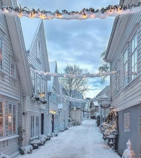 Stavanger Norway, Winter Szenen, Norway Travel, Stavanger, Winter Scenery, Winter Pictures, Beautiful Places In The World, Pretty Places, Winter Scenes