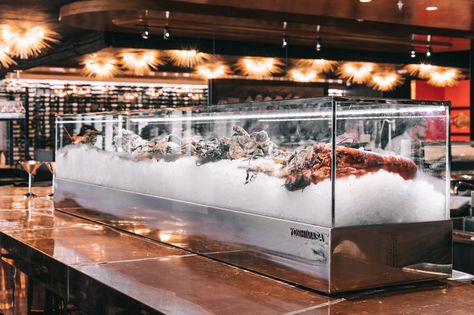 Seafood Restaurant Design, Seafood Display Restaurant, Fresh Fish Display, Seafood Display, Seafood Pasta Salad Recipe, Seafood Enchiladas, Seafood Store, Boat Restaurant, Fresh Seafood Market