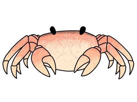 How to Draw Marine Life - HelloArtsy How To Draw Fish, Arms Drawing, Crab Drawing, Cartoon Crab, Draw Sea, Drawing Arms, Sea Creatures Drawing, Chalk Ideas, Arm Drawing