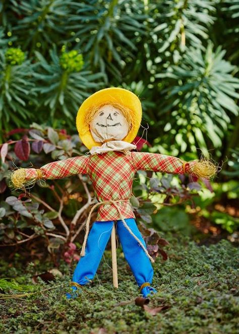 Don't be scared off that it's Friday 13th! Let the WIPPERS D.I.Y. Mini Scarecrow do the scaring instead, coming to Bunnings this October! Diy Mini Scarecrow, Scarecrows Diy, Book Themed Art, Mini Scarecrow, Scare Crow, Farm Day, Children's Library, Garden Garage, Childrens Library