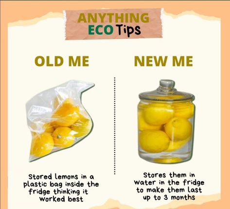 Tip of the day: Cover your lemons and limes in water before storing them in the fridge to make them last up to 3 months! 🍋⠀⠀⠀⠀⠀⠀⠀⠀⠀ Lemons love to stay moist and start to mold once they dry out. Their small pores allow for water to escape easily. Storing them submerged in water will keep them plump and lasting longer! Source: Anything Eco Lime Water Recipe, Store Lemons, Lemon Storage, Storing Lemons, Lemons And Limes, Lime Water, Kitchen Skills, Infused Water Recipes, Healthy Shakes