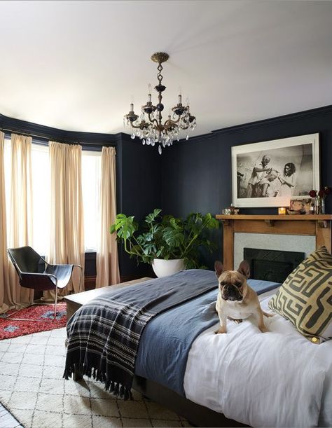 This Dark & Dramatic Master Bedroom Is A Relaxing Respite Dark Bedroom Walls, Dramatic Bedroom, Dark Blue Bedrooms, Black Accent Walls, Feminine Bedroom, Dark Bedroom, Bedroom Decor Cozy, Accent Wall Bedroom, Black Bedroom