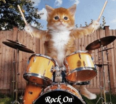 Kitten playing the drums GIF / Drummer Cats: A Magazine About Feline Drummers Pussycat Dolls, Gif Images, Image Chat, Kittens Playing, Silly Animals, Rock On, Cat Playing, Silly Cats, Funny Animal Pictures