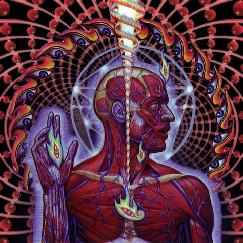 Tool - 2001 - Lateralus Tool Band Art, Tool Band Artwork, Tool Artwork, Alex Gray Art, Band Artwork, Tool Poster, Tool Tattoo, Wallpaper Tools, Metal Songs