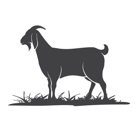 Goat vector icon silhouette. Goat side view in the grass. Farm goat animal logo design. Vector illustration. Vector illustration Goat Silhouette Design, Goat Vector Illustration, Goat Side View, Goat Icon, Goat Silhouette, Goat Vector, Goat Illustration, Animal Logo Design, Contrast Images