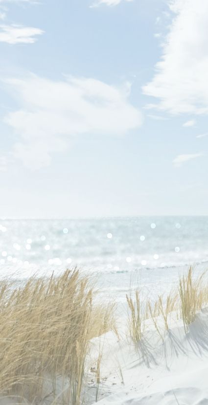 summer whisper Sand Dunes, Beach Aesthetic, The Grass, Beach Days, Beach Vibe, Ocean Beach, Blue Aesthetic, Beach Photos, The Sand