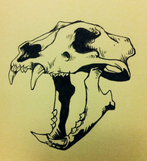 Tiger skull. DIEF13... Easy Animal Skull Drawing, Panther Skull Tattoo, Jaguar Skull Tattoo, Tiger Skull Drawing, Animal Skulls Drawing, Dog Skull Tattoo, Tiger Skull Tattoo, Skull Drawing Reference, Panther Skull