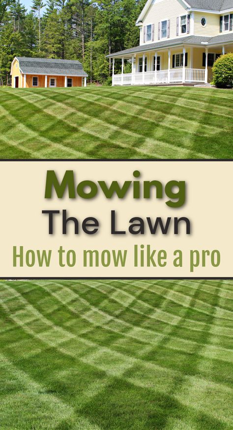 lawn mowing stripes in a green lawn Lawn Design Ideas, Lawn Weeds, Curb Appeal Garden, No Mow Grass, Lawn Care Schedule, Plants In Jars, Lawn Care Business, Growing Grass, Weeds In Lawn