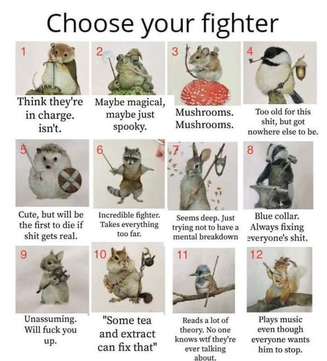 Definitely 4 Choose Your Fighter, Tea Reading, Funny Animal Memes, Which One Are You, Animal Memes, Tumblr Funny, Dungeons And Dragons, Cute Art, Funny Animals