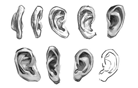 How To Shade Ears, Ear Study Drawing, Human Ears Drawing, Ear Front View, Manga Ears, Ear Drawings, Ear Drawing Reference, Draw Ear, Ear Sketch