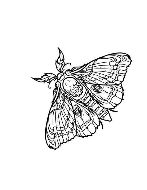 Moth Drawing Tattoo, Moth Tattoo Stencil, Moth Stencil, Skeleton Moth Tattoo, Moth Tattoo Outline, Moth Outline Tattoo, Moth Outline, Simple Moth Tattoo Outline, Moth Tattoo Simple