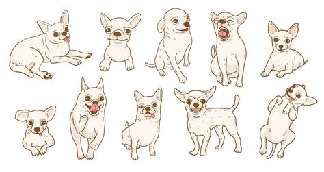 Premium Vector | Cartoon chihuahua dog illustration set Cartoon Chihuahua, Chihuahua Drawing, Premium Vector Cartoon, Chihuahua Art, Dog Comics, Color Pencil Illustration, Cute Chihuahua, Book Illustration Art, Dog Books