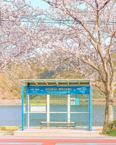 ## places Halte Aesthetic, Korea Aesthetic, Bus Art, Random Places, Japan Trip, Bus Stop, Pastel Wallpaper, Picture Collage, Street Photo