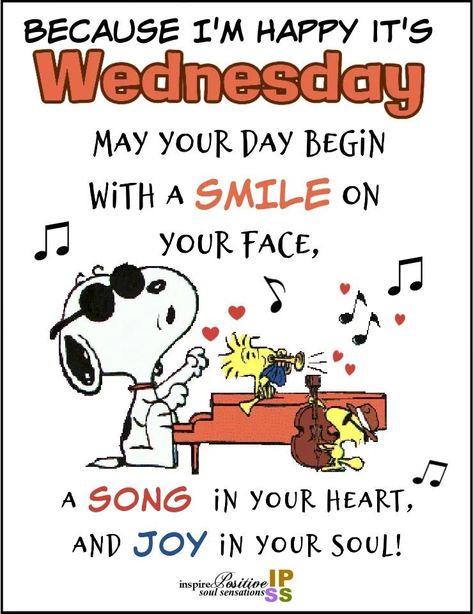 Snoopy Wednesday Blessings, Good Morning Happy Wednesday Snoopy, Wednesday Morning Greetings Funny, Wednesday Morning Greetings, Wednesday Morning Quotes, Good Morning Snoopy, Good Morning Wednesday, Daily Quotes Positive, Wednesday Motivation