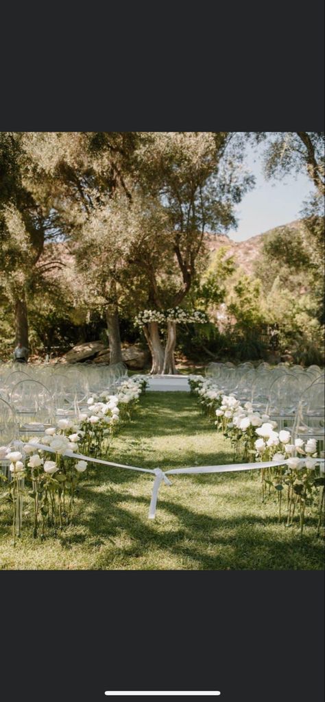 Rose Aisle, Wedding Moodboard, Sustainable Wedding, Rose Stem, Wedding Aisle, Wedding Mood Board, Charleston Wedding, Wedding Mood, Rose Petals