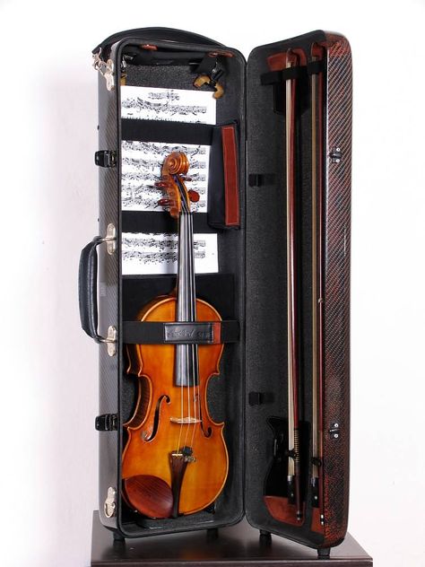 Accord violin case Violin Case Ideas, Violin Case Aesthetic, Violin Core, Violin Family, Acoustic Guitar Strap, Violin Practice, Violin Accessories, Violin Instrument, Music Corner