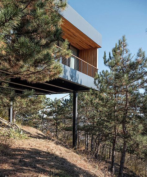 Homes On Steep Slopes, House On Stilts Ideas, Steep Hillside House, House On Hillside, Built Into Hillside, House Built Into Hill, Modern Hillside House, House Built Into Hillside, Home On Stilts