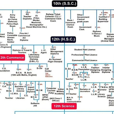 Education Chart, Buy Gold And Silver, The Subject, Career Path, Buy Gold, May 17, Paper Crafts Diy, Crafts Diy, Subjects