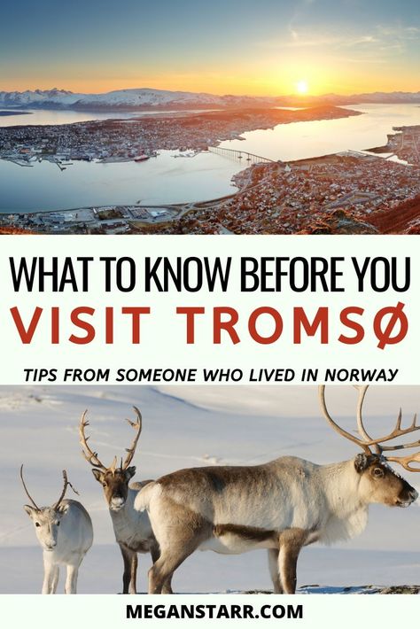 Things To Do In Tromso Norway, Tromso Christmas, Norway In January, Norway In November, Tromso Norway Northern Lights, Tromso Norway Summer, Tromso Norway Winter, Norway Tromso, Norway Northern Lights