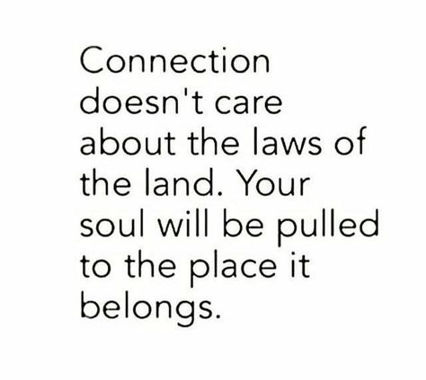 Connection doesn't care about the laws of the land. Your soul will be pulled to the place it belongs. Connection Quotes, Soulmate Quotes, Soul Searching, Word Up, Worth The Wait, Infp, A Quote, True Words, It Takes