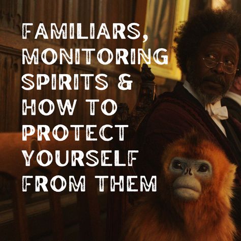 Familiars, Monitoring Spirits & How to Protect Yourself from Them — Desirée M. Mondesir Monitoring Spirits, Voice Note, Soul Ties, Spiritual Prayers, Magick Book, Spirit Quotes, Spiritual Cleansing, Inspirational Books To Read, Body Healing