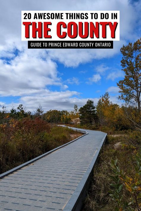 20+ Awesome Things to do in Prince Edward County Ontario || Prince Edward County things to do | Prince Edward County road trip tips | Ontario road trips | Ontario travel | places in Ontario | things to do in Prince Edward County in fall | places to visit in Prince Edward County | travel guide to Prince Edward County | Canada travel | attractions in Prince Edward County | activities in Prince Edward County | locations in Prince Edward County | #PrinceEdwardCounty #Ontario #Canada #PEC Fall Places, Vancouver Travel Guide, Montreal Travel Guide, Ottawa Travel, Prince Edward County Ontario, Ontario Road Trip, Road Trip Tips, Montreal Travel, Alberta Travel