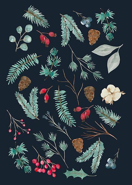 Watercolor winter Christmas greenery and berries at night by TinyFlowerArt | Redbubble Foliage Illustration, Winter Foliage, Watercolor Winter, Christmas Greenery, Christmas Poster, Big Art, The Walk, Pine Needles, Christmas Mood