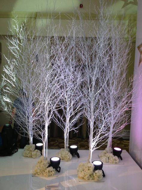 These 10ft White Birch Trees are perfect for a Winter Wonderland/Narnia/Christmas event. Winter Wonderland-party, Christmas Stage Design, Winter Wonderland Decorations, Christmas Stage, Designers Home, White Birch Trees, White Trees, Winter Wonderland Theme, Church Stage Design