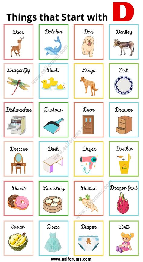 156 Things that Start with D | D Objects for Kids D Words Preschool, Words That Start With D, Things That Start With A, E Words For Kids, Letter Pictures, Adjectives Grammar, Summer Alphabet, Letter A Words, Daycare Curriculum